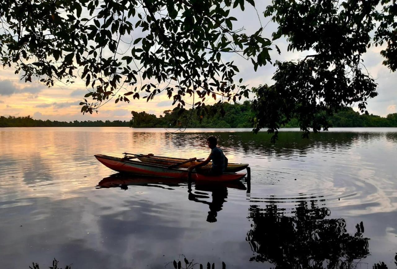 Gold Sand Resort Bentota Eksteriør bilde