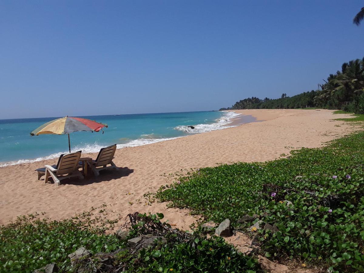 Gold Sand Resort Bentota Eksteriør bilde