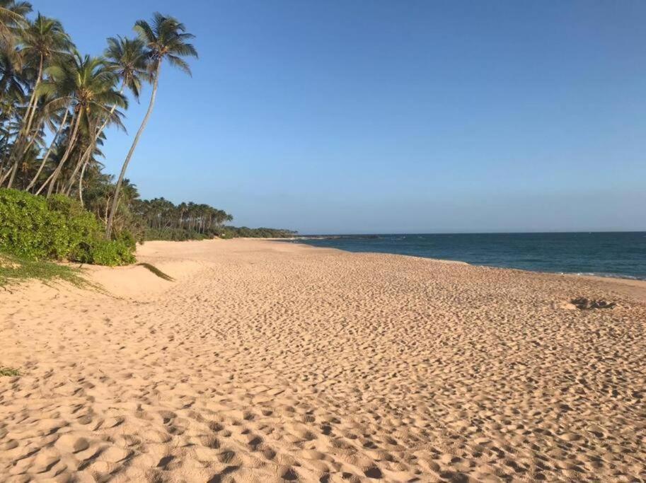 Gold Sand Resort Bentota Eksteriør bilde